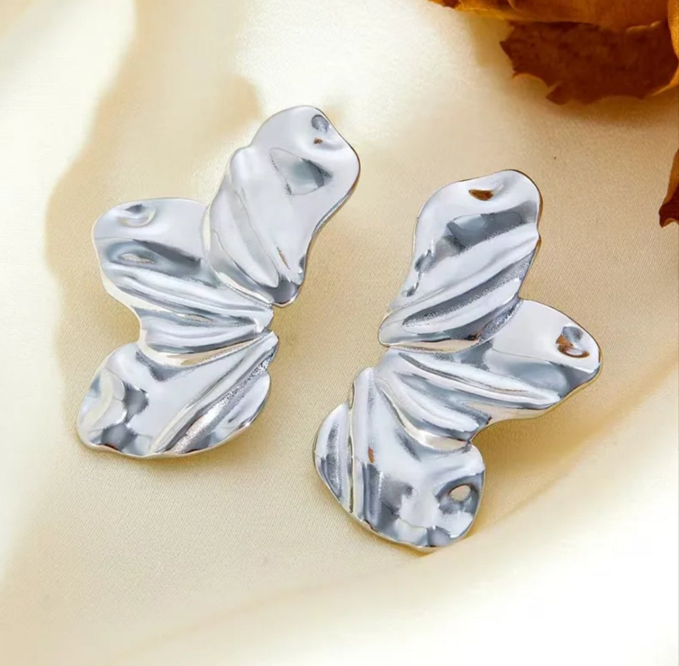 Boucle d'oreille Argent (Acier)