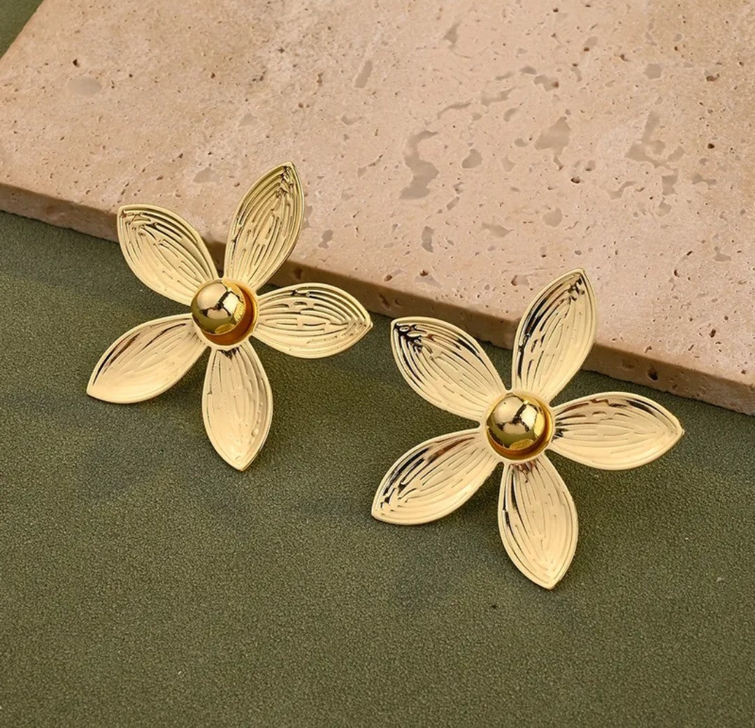 Boucle d'oreille or (Acier)